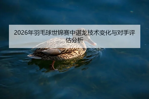 2026年羽毛球世锦赛中谌龙技术变化与对手评估分析