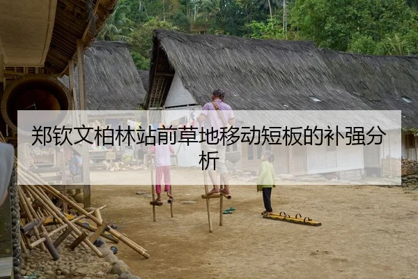 郑钦文柏林站前草地移动短板的补强分析