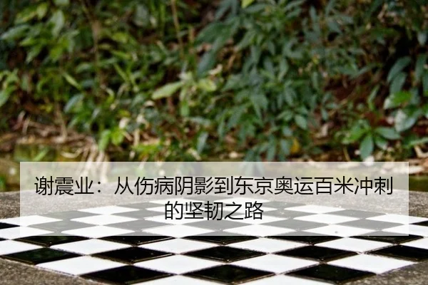 xie-zhen-ye-cong-shang-bing-yin-ying-dao-dong-jing-ao-yun-bai-mi-chong-ci-de-jian-ren-zhi-lu-3-551.jpg