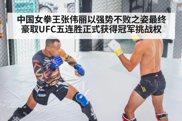 mma fighter training