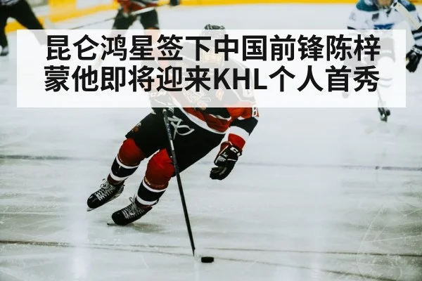 chinese ice hockey player
