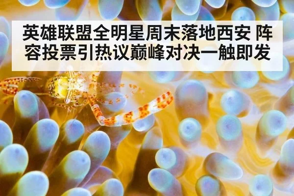 英雄联盟全明星周末落地西安 阵容投票引热议巅峰对决一触即发